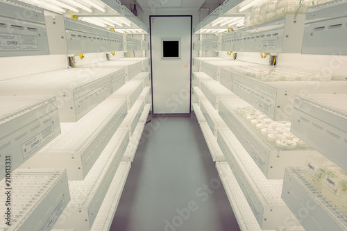 Φωτογραφία growth chamber isle
