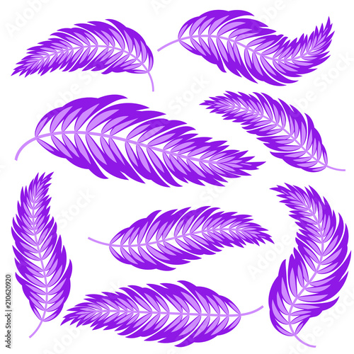 Set of flat isolated abstract purple silhouettes of the leaves curving in different directions