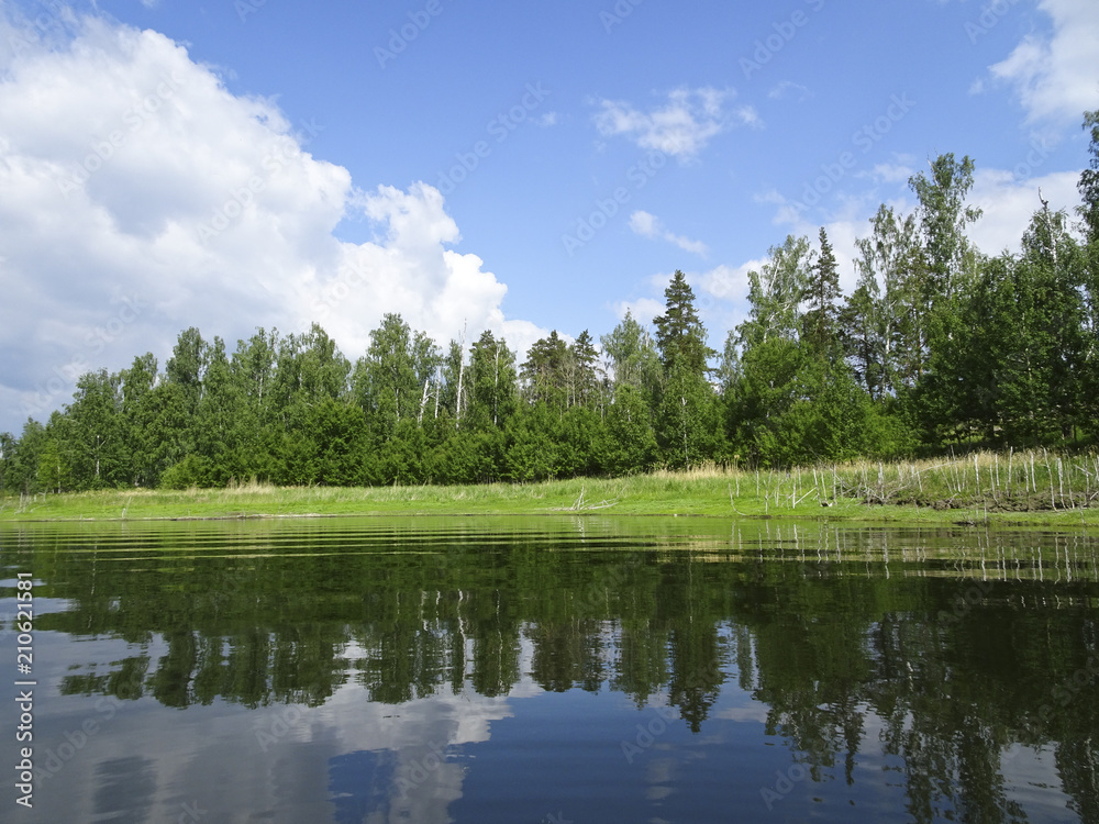 Summer landscape: a beautiful sunny day in the forest on the shore of a calm lake