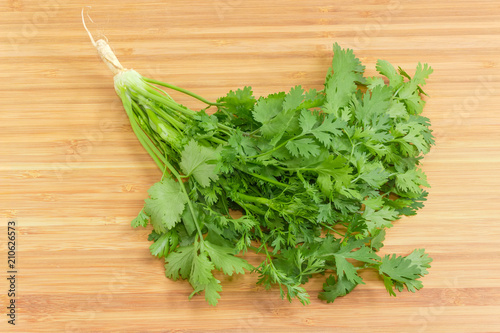 Young coriander with stalks, leaves and root on wooden surface