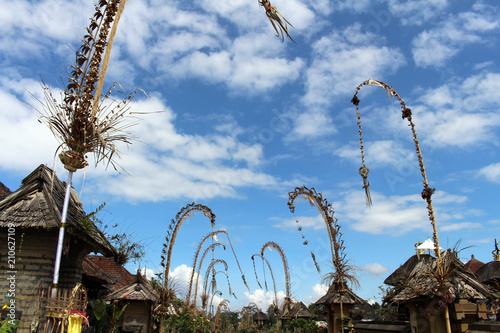 Around Penglipuran village, one iconic traditional neighborhood full of coconut leaves (janur) photo