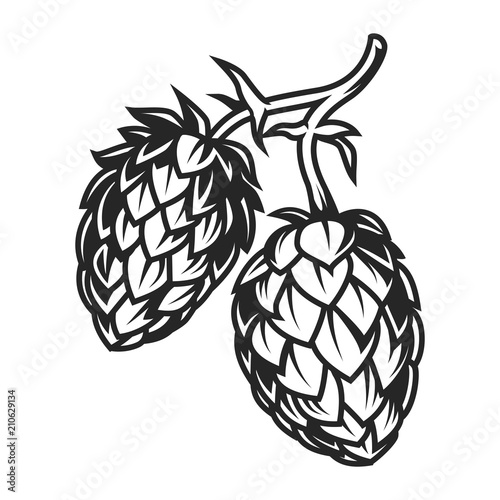 Vintage hop cones concept