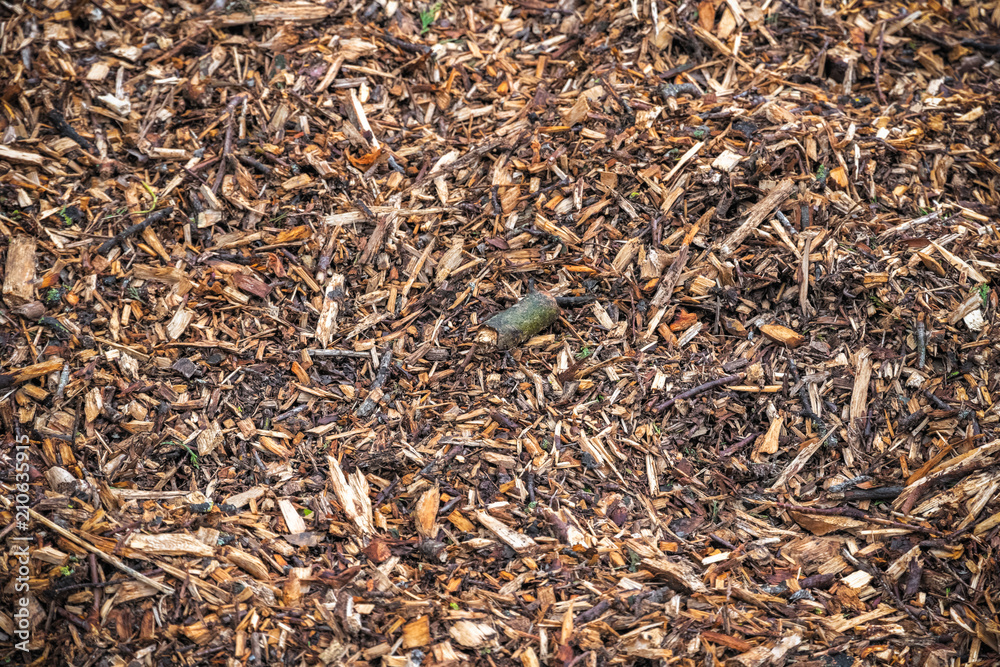 Image filled with wood chips and twigs Image filled with wood chips and twigs