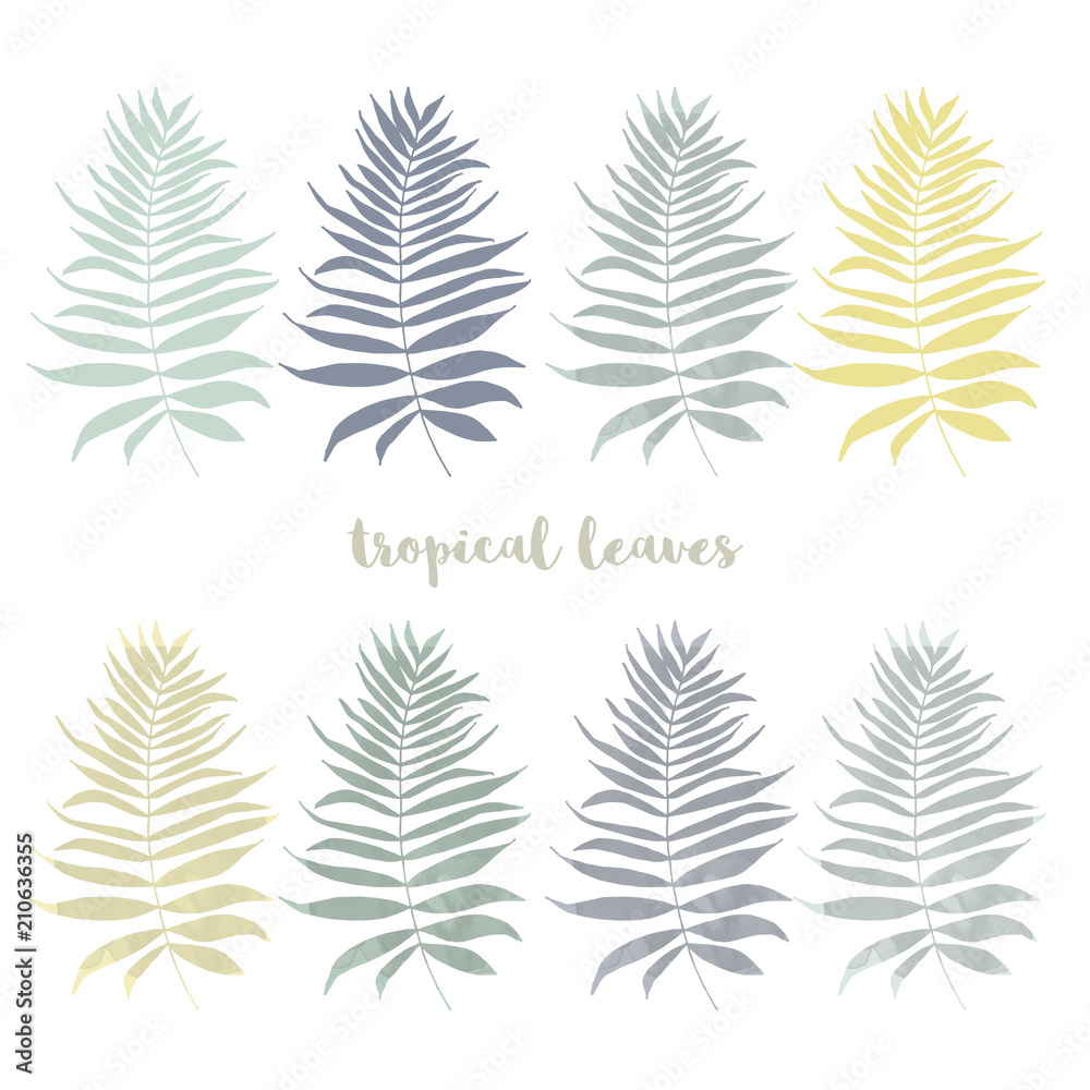 Set of palm,  jungle , tropical  leaves silhouettes isolated on white background.