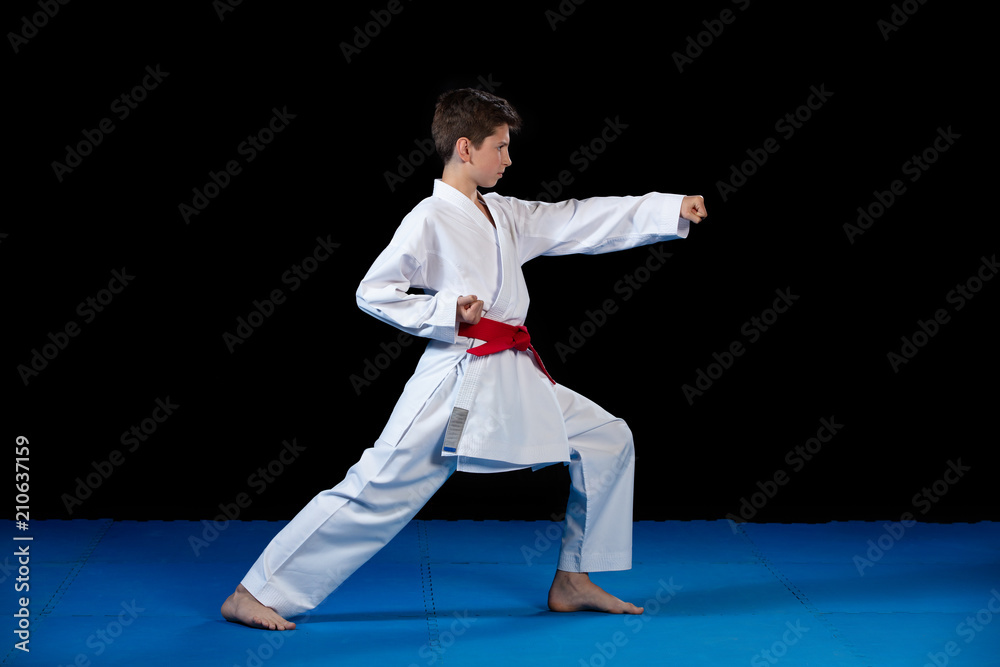 Young boy dressed in a white karate kimono with red belt. Young boy dressed in a white karate kimono with red belt.