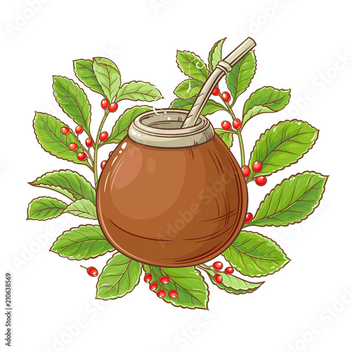 mate tea vector illustration