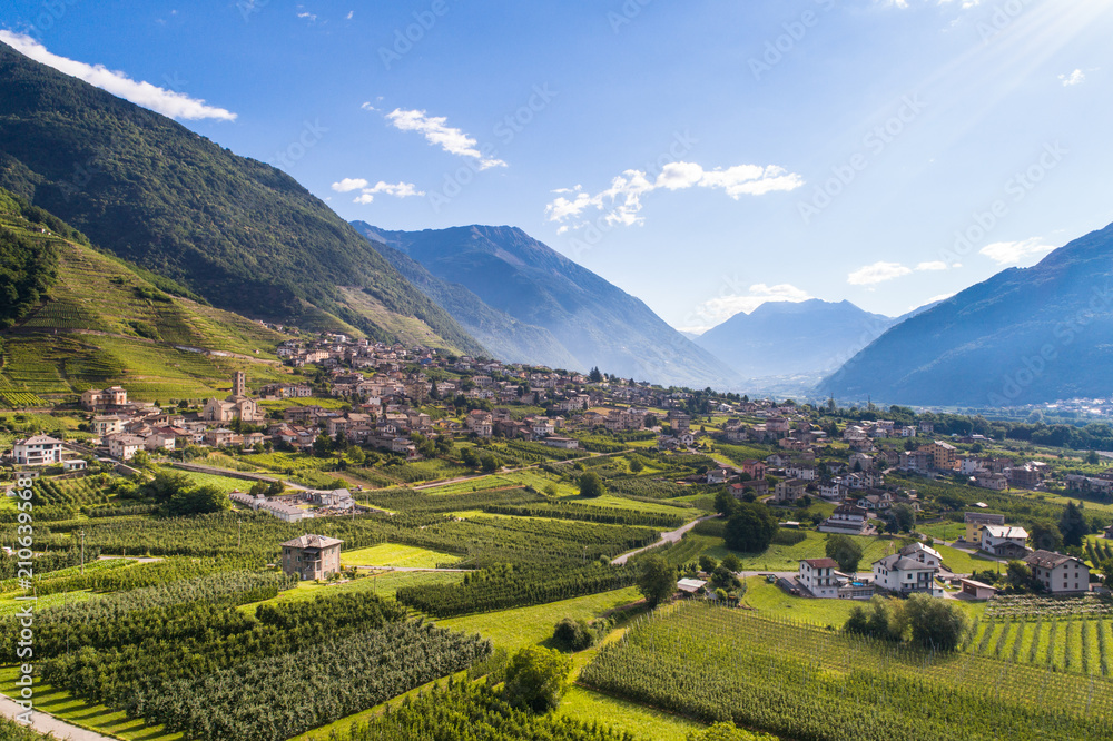 Village in Valtellina, houses and vineyards