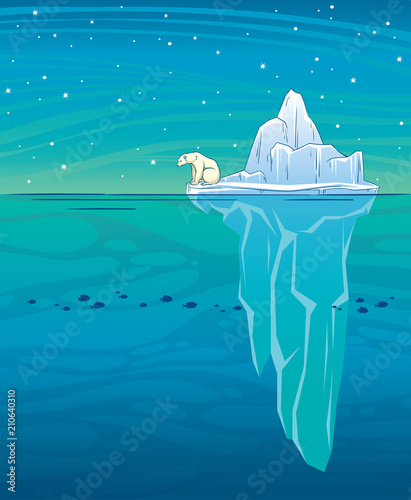 Polar bear. iceberg, ocean and night sky.