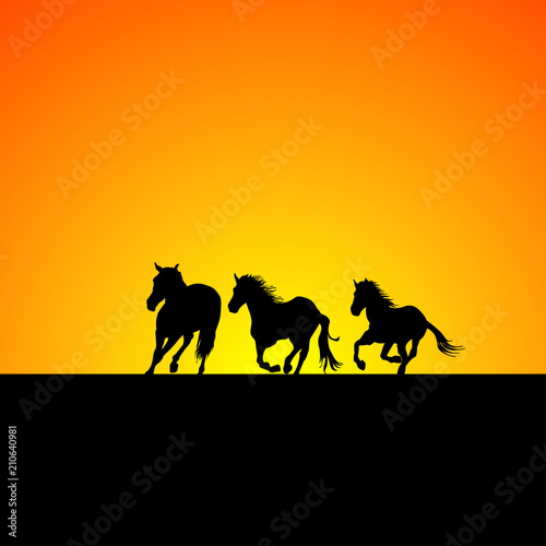 Silhouette of three horses galloping at sunrise