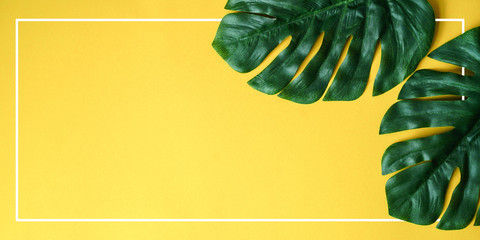 close up green tropical leaves laying on yellow paper panoramic background with white frame border for summer season , ad your idea,text,ads,content on image