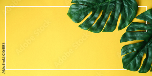 close up green tropical leaves laying on yellow paper panoramic background with white frame border for summer season , ad your idea,text,ads,content on image