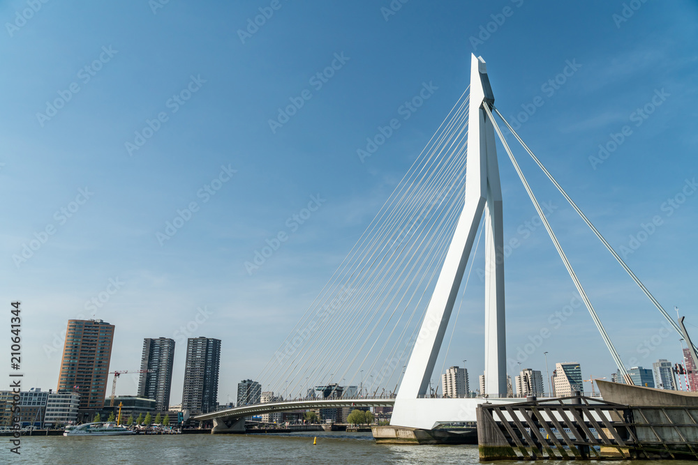 Obraz premium View of Erasmus bridge in Rotterdam