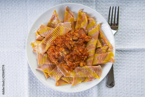 Pasta italiana para la comida, garganelli a la boloñesa photo