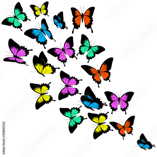 beautiful color butterflies,set, isolated on a white