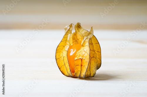 Kapstachelbeere (Physalis peruviana) photo