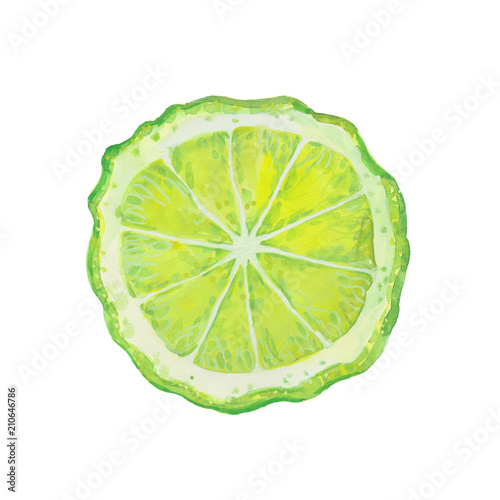 watercolor  bergamot slice