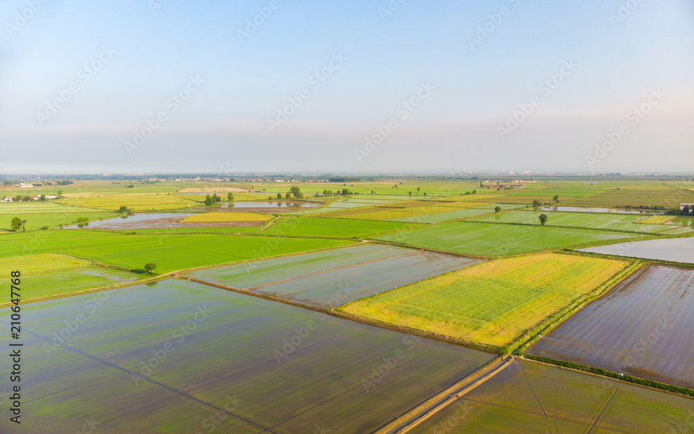 Aerial: rice paddies, flooded cultivated fields farmland rural italian countryside, agriculture occupation, sprintime in Piedmont, Italy