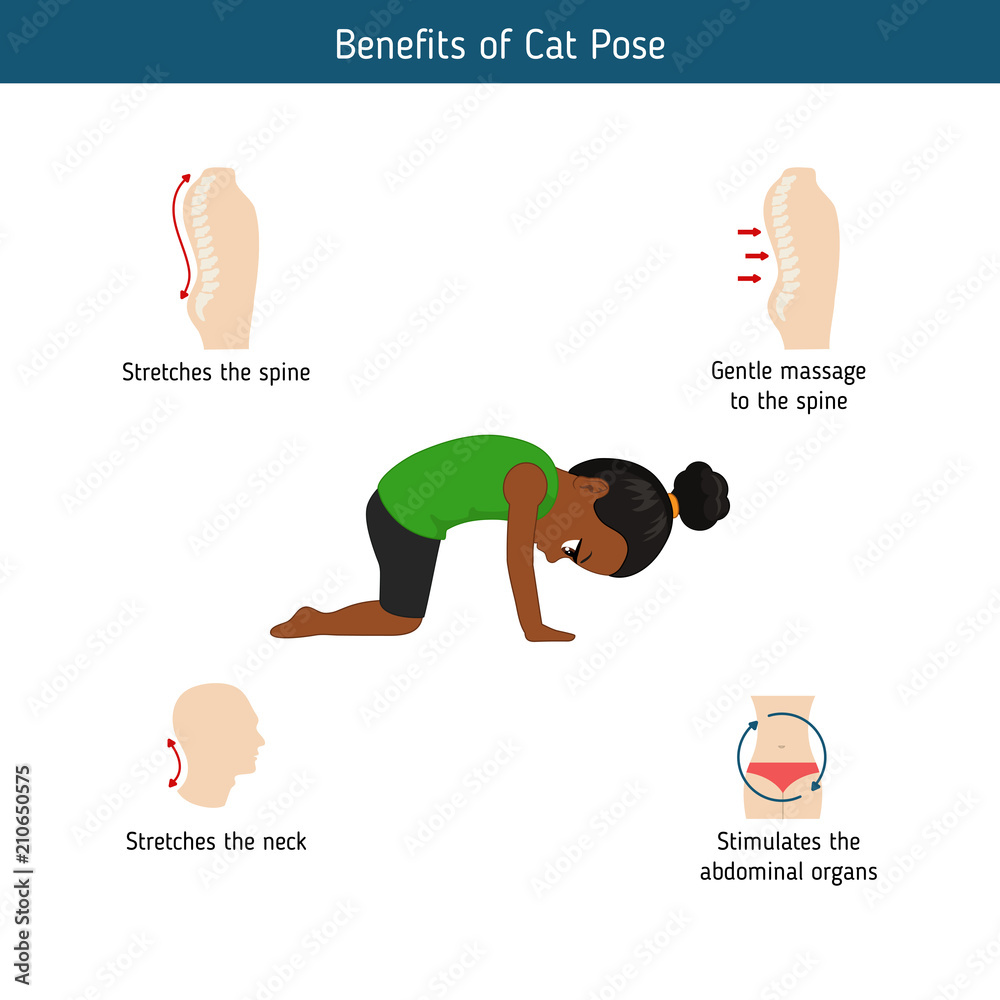 Infographics of yoga pose