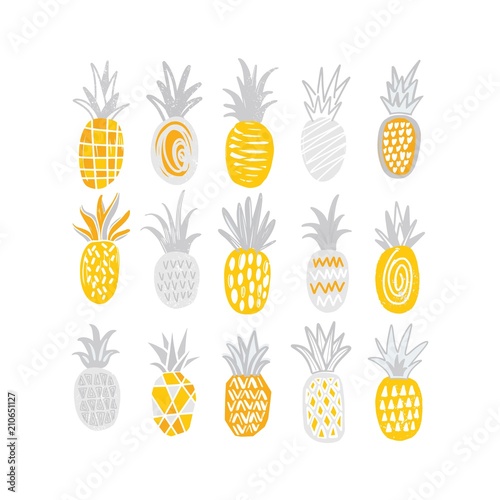 Collection of hand drawn pineapples of different texture isolated on white ba...