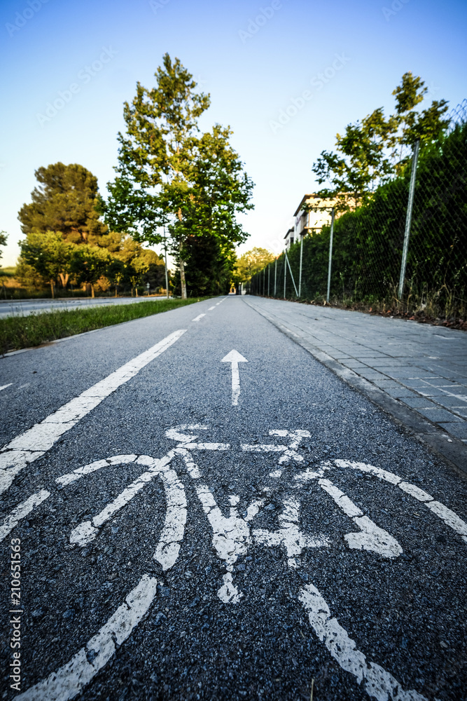 Obraz premium urban road for bicycles