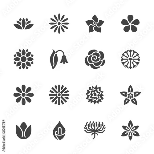 Flowers flat glyph icons. Beautiful garden plants - chamomile, sunflower, rose flower, lotus, carnation, dandelion, violet blossom. Signs for floral store. Solid silhouette pixel perfect 48x48.