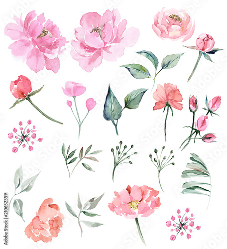 Watercolor clipart of pink and beige flowers and leaves of vintage style of tenderness on isolated white background