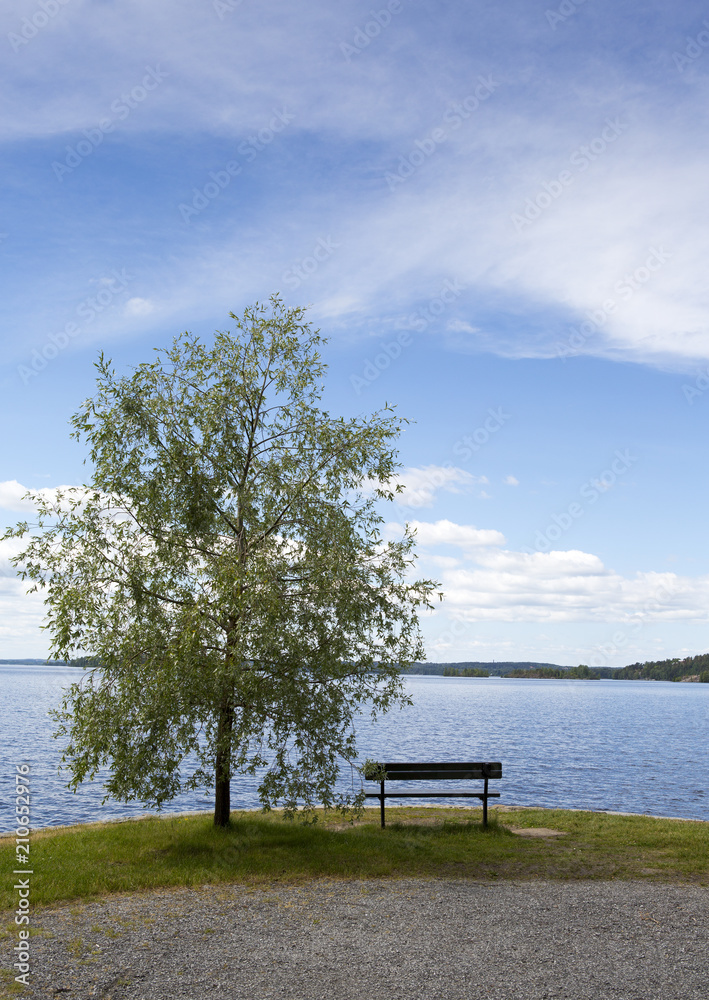 Empty bench on the lakeside. Beautiful view to the sea or lake. Single tree next to the chair. Finnish summer evening. Empty bench on the lakeside. Beautiful view to the sea or lake. Single tree next to the chair. Finnish summer evening.