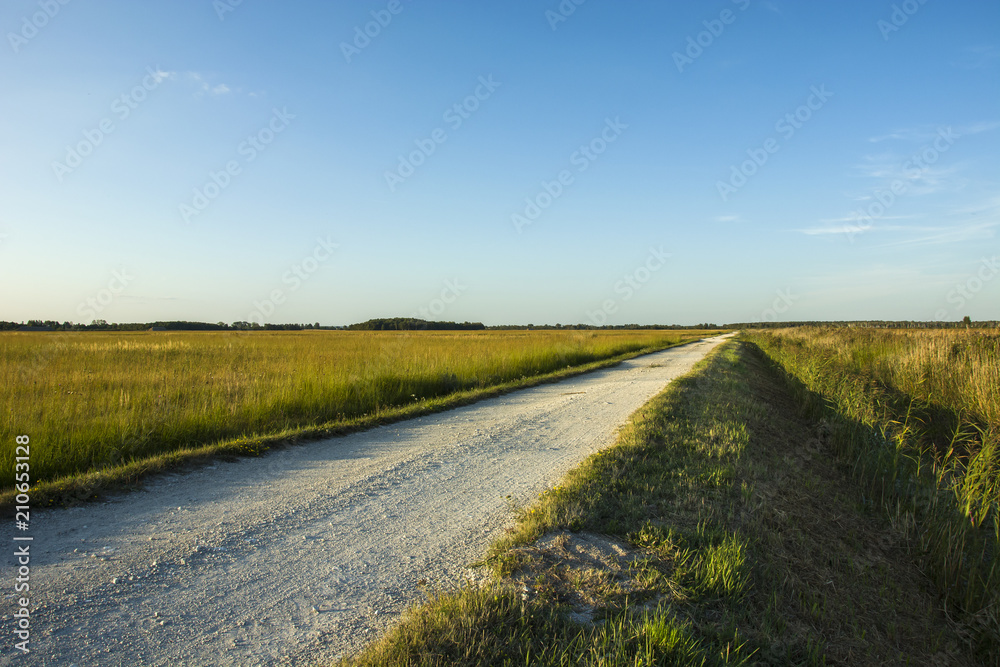 Simple village road through the meadows Simple village road through the meadows