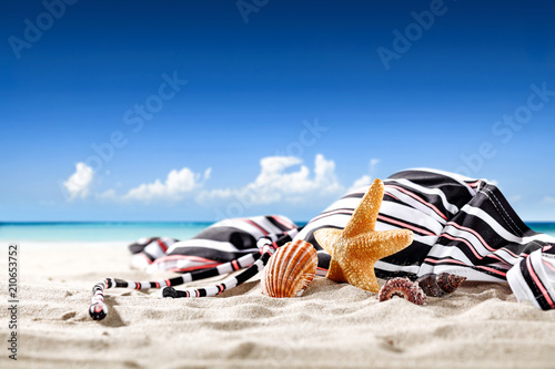 Summer shells on sand and free space for your decoration. 