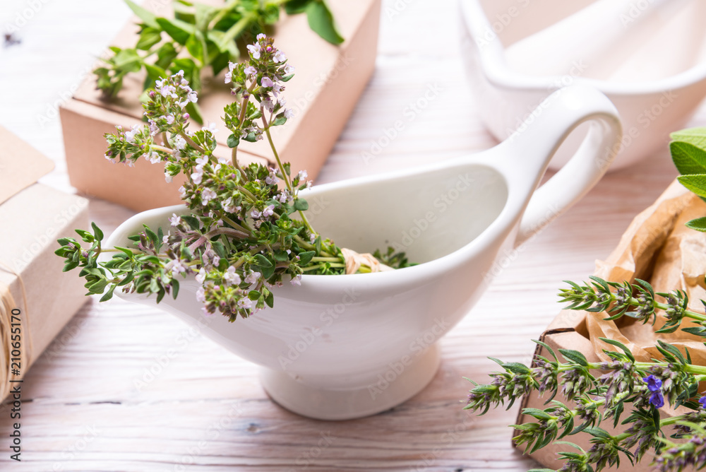 Thyme brances with white porcelan saucer