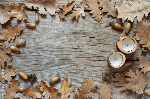 Autumn oak leaves on old wood background