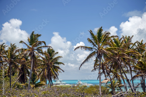 Paradise Island of Contoy. View of a pleasure yacht through the palm trees. © Emma