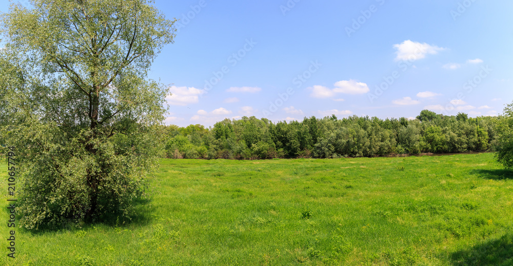 River landscape