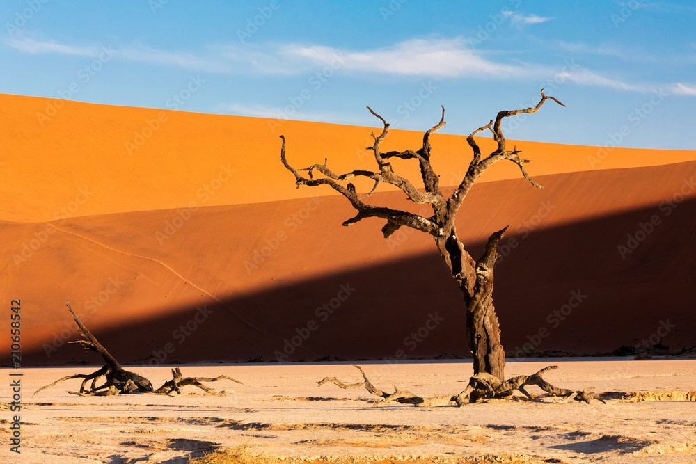 Dead Vlei landscape in Sossusvlei, Namibia