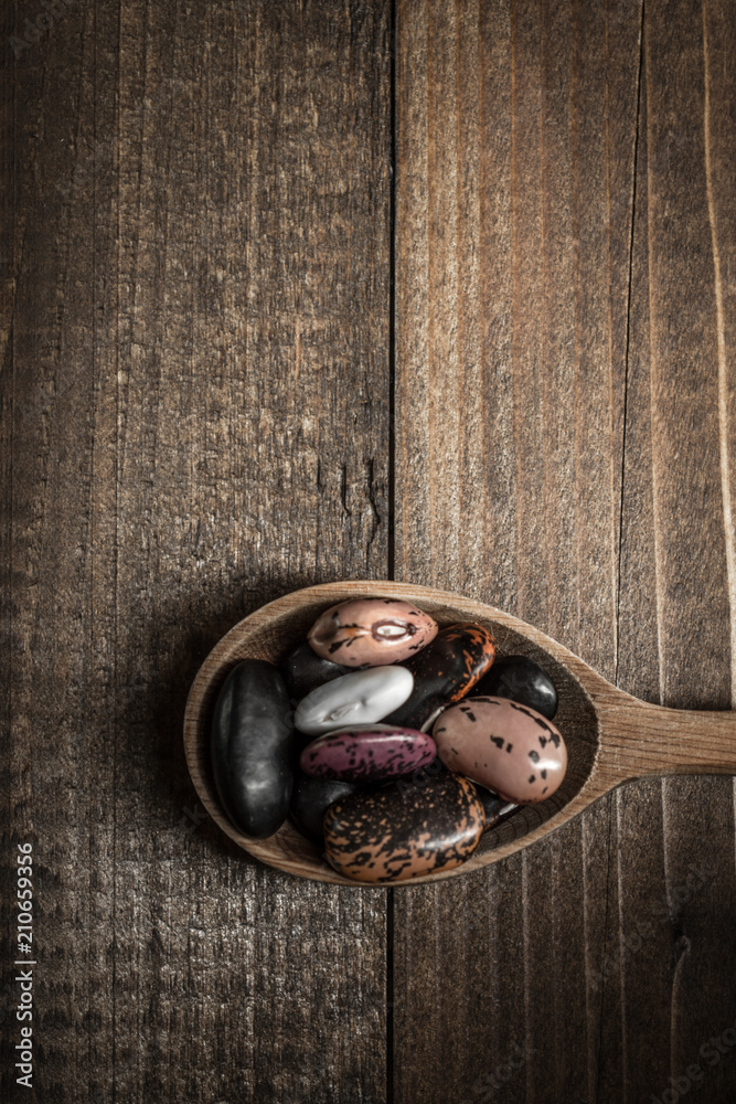 Colorful Raw Beans and Wooden Spoon on Dark Background Colorful Raw Beans and Wooden Spoon on Dark Background