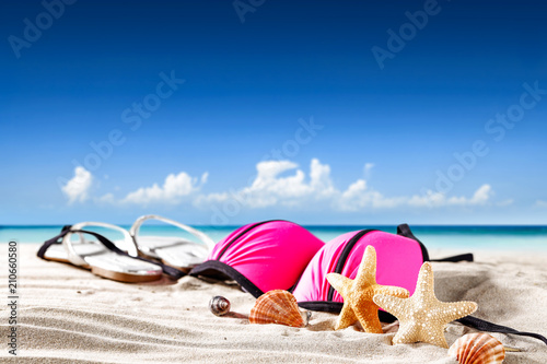 Fototapeta Naklejka Na Ścianę i Meble -  Summer shells on sand and free space for your decoration. 