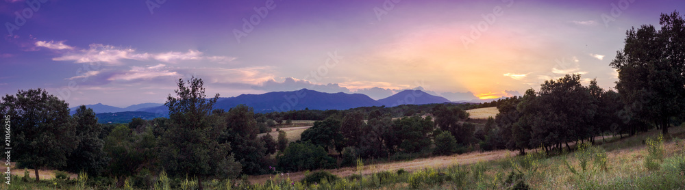 Beautiful Landscape in Spain during the Golden and Blue Hour with trees and flowers and clouds