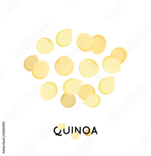 A handful of quinoa seed. Cereals quinoa illustration.