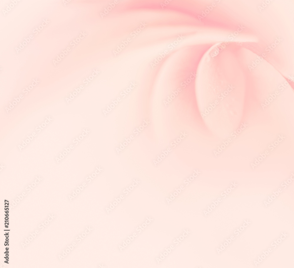 Obraz premium Soft pink floral background