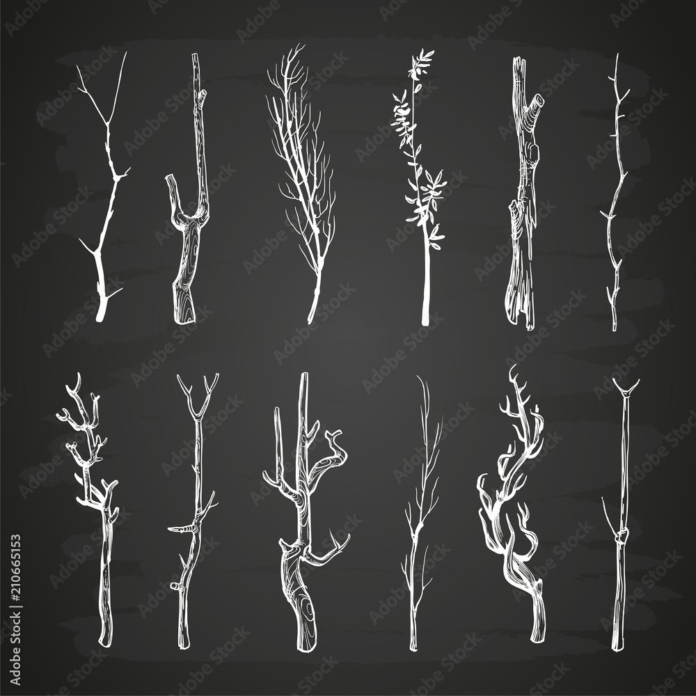 Sketch wood branches set on blackboard