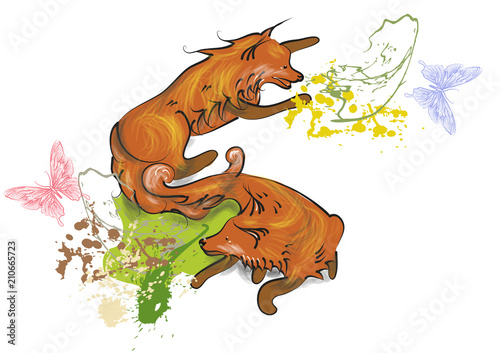 foxes and butterflies