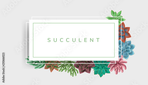 Simple paper frame with colorful succulent plants in green and red colors. Vector illustration for nature design and background