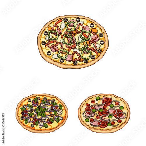 Different pizza cartoon icons in set collection for design.Pizza food vector symbol stock web illustration.