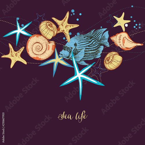 Sea life background