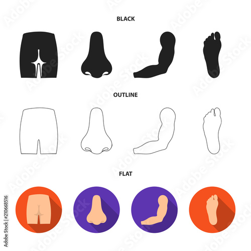 Buttocks, nose, arm, foot. Part of the body set collection icons in black,flat,outline style vector symbol stock illustration web.