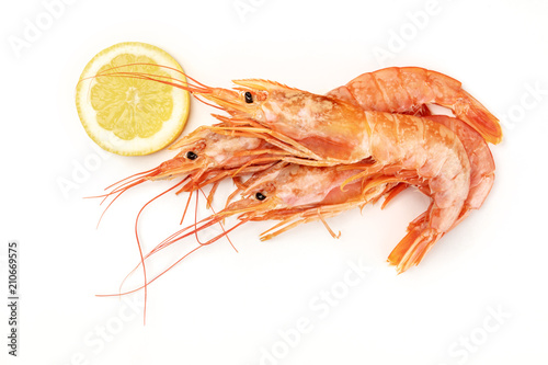 Overhead photo of raw shrimps on white, with a lemon slice, with copy space