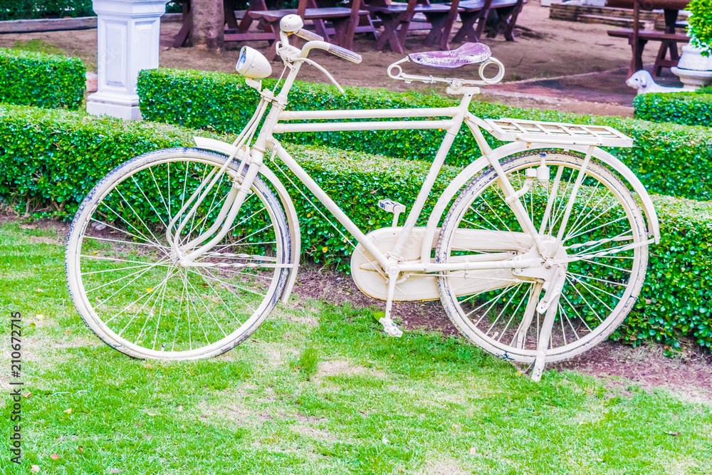 White bike In the park there is a green tree. Bicycle Show Garden Decoration