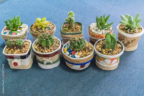Cactus in handmade pot Small pot for home or office decoration