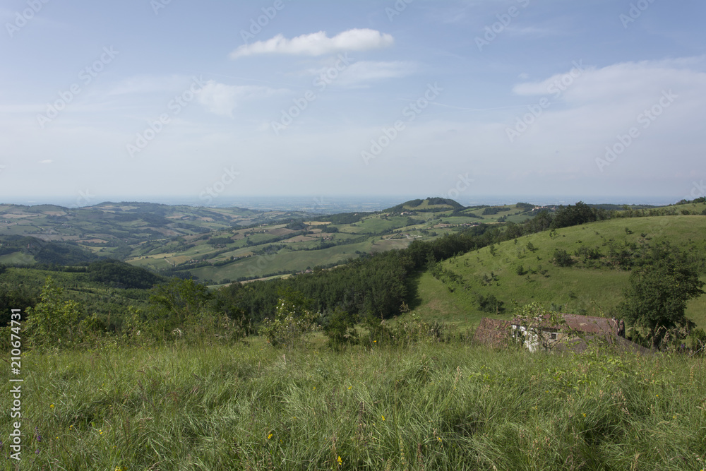 Panorama