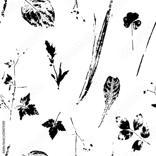 leaves and herbs imprint - seamless pattern